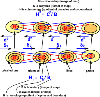cohomology chain