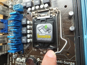 cpu socket