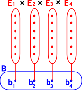 fibre bundle