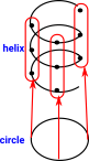 helix diagram